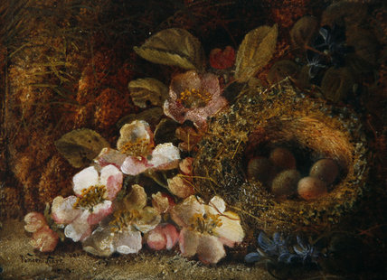 Springtime — Vincent Clare