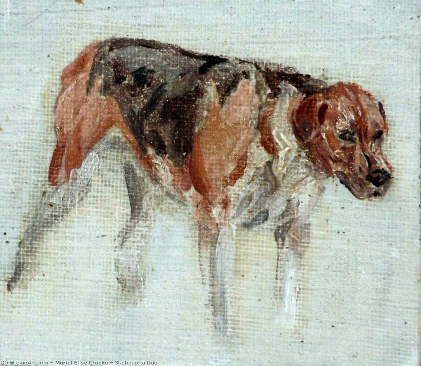 Sketch Of A Dog — Muriel Elise Crooke
