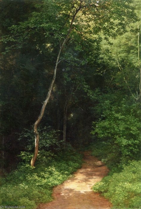 Forest Track — Роберт Цунд