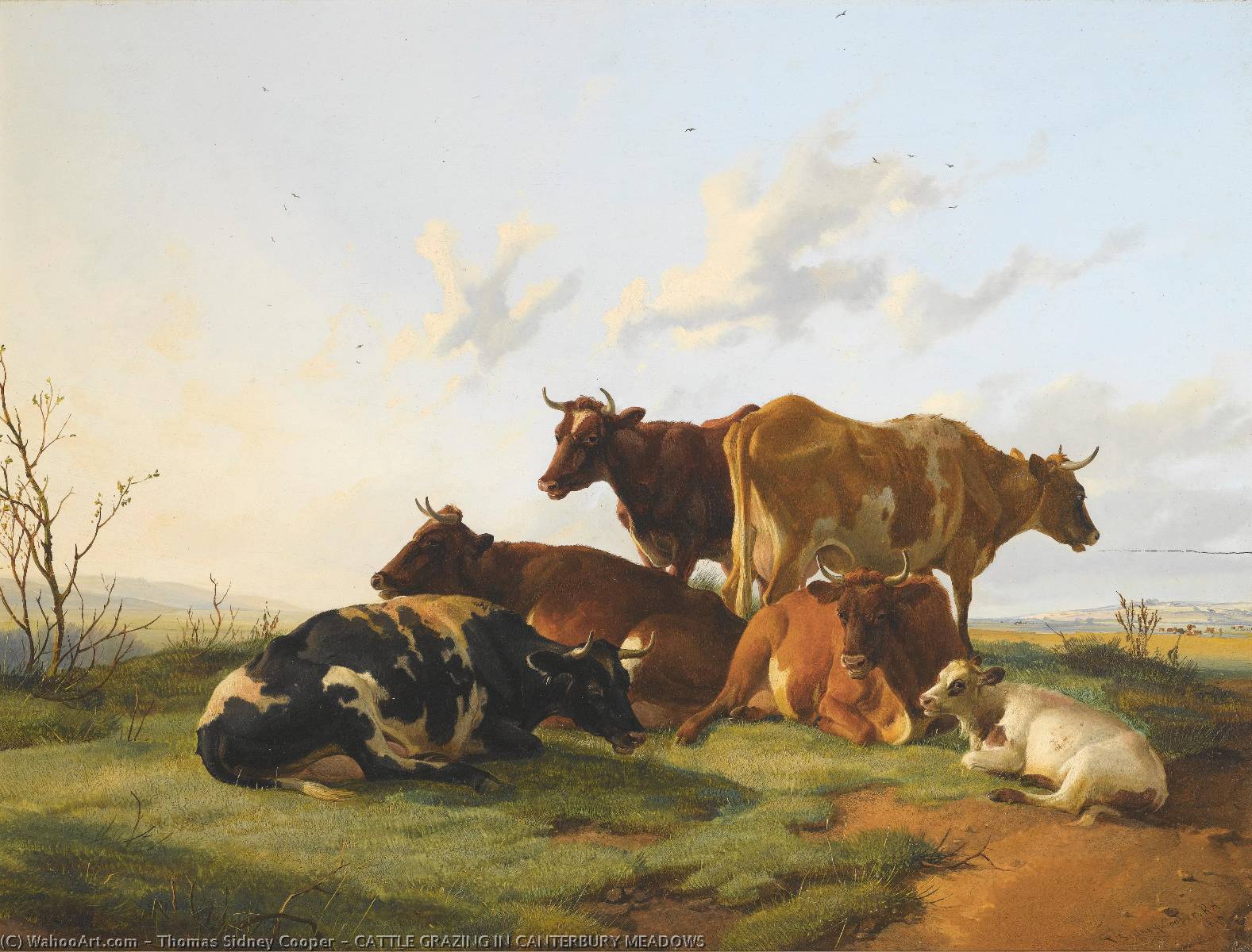 Cattle Grazing In Canterbury Meadows — Thomas Sidney Cooper