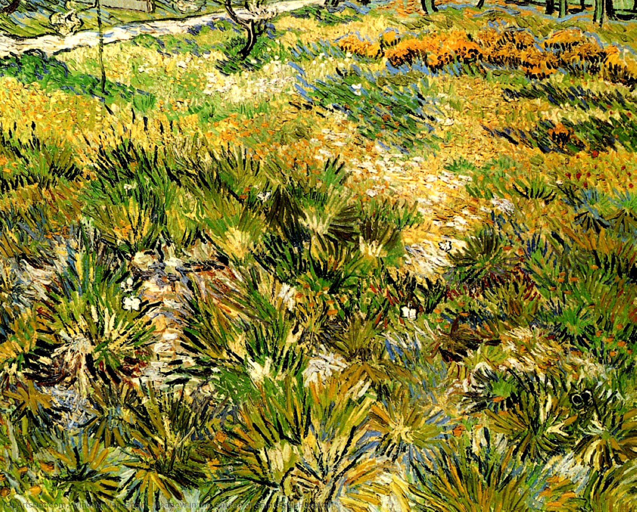 Campo En El Jardín Del Hospital Saint-paul — Vincent Willem Van Gogh