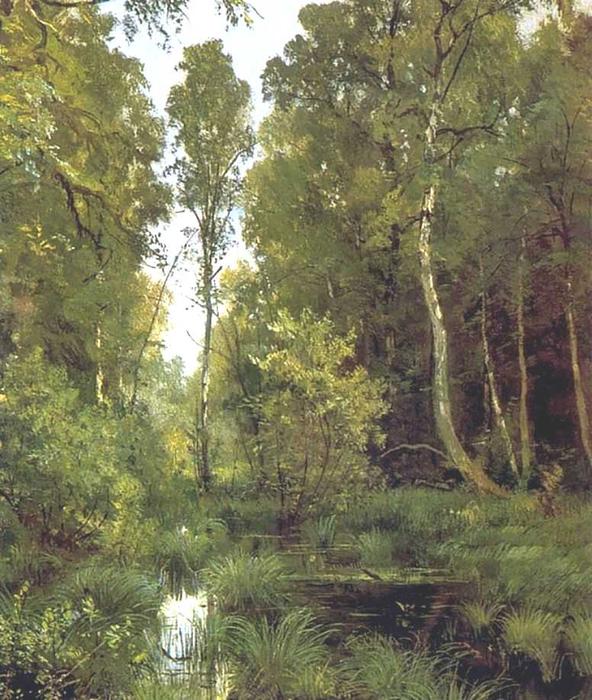 Overgrown Pond On Edge Of Forest, Siverskaya — Ivan Ivanovich Shishkin