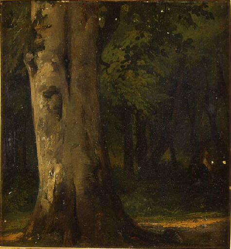 Sous Bois — Jules Louis Philippe Coignet