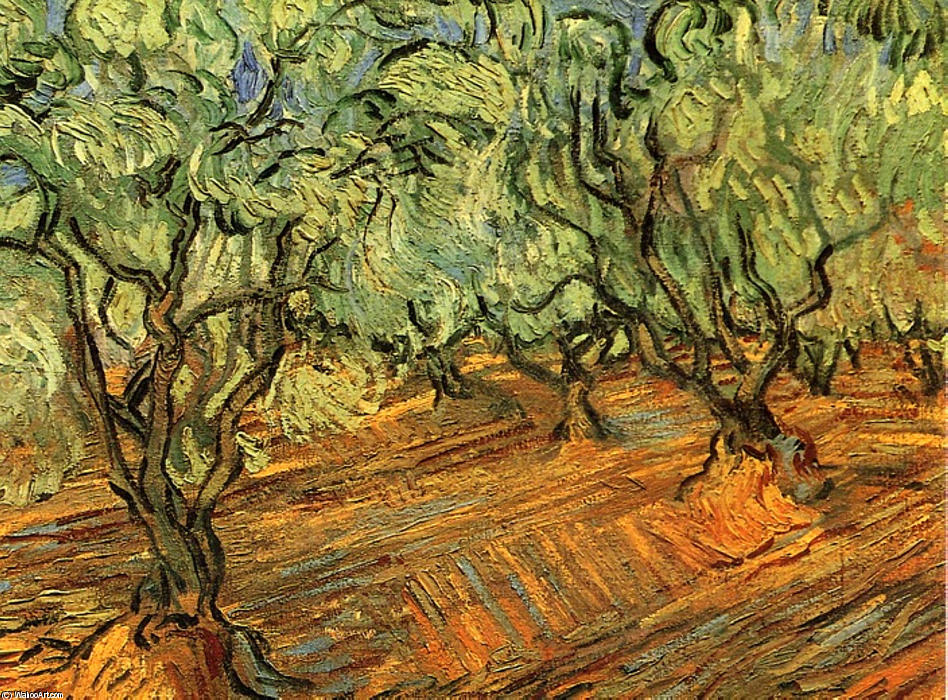 Olive Grove - Bright Blue Sky — Vincent Van Gog