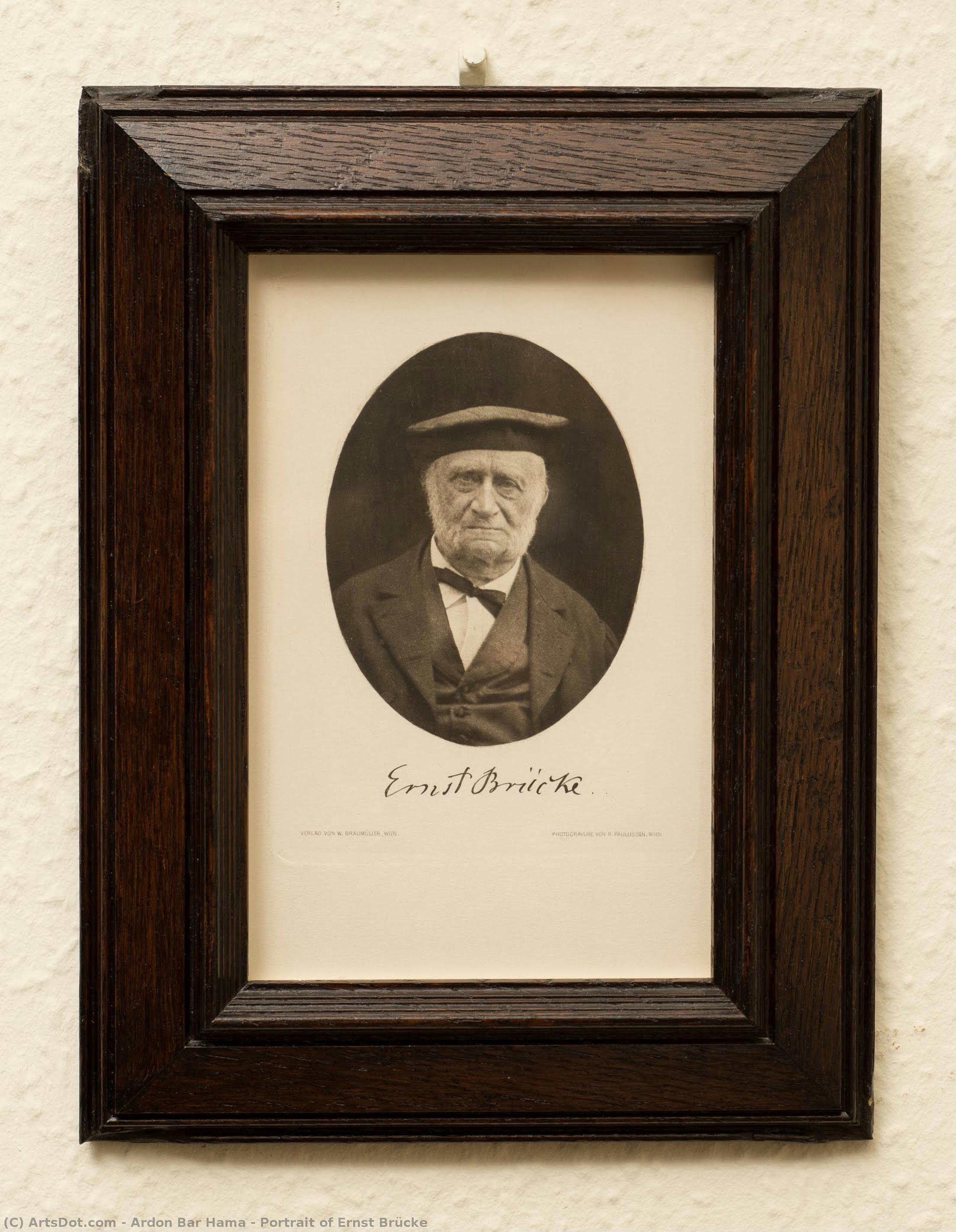 Portrait Of Ernst Brücke — Ardon Bar Hama