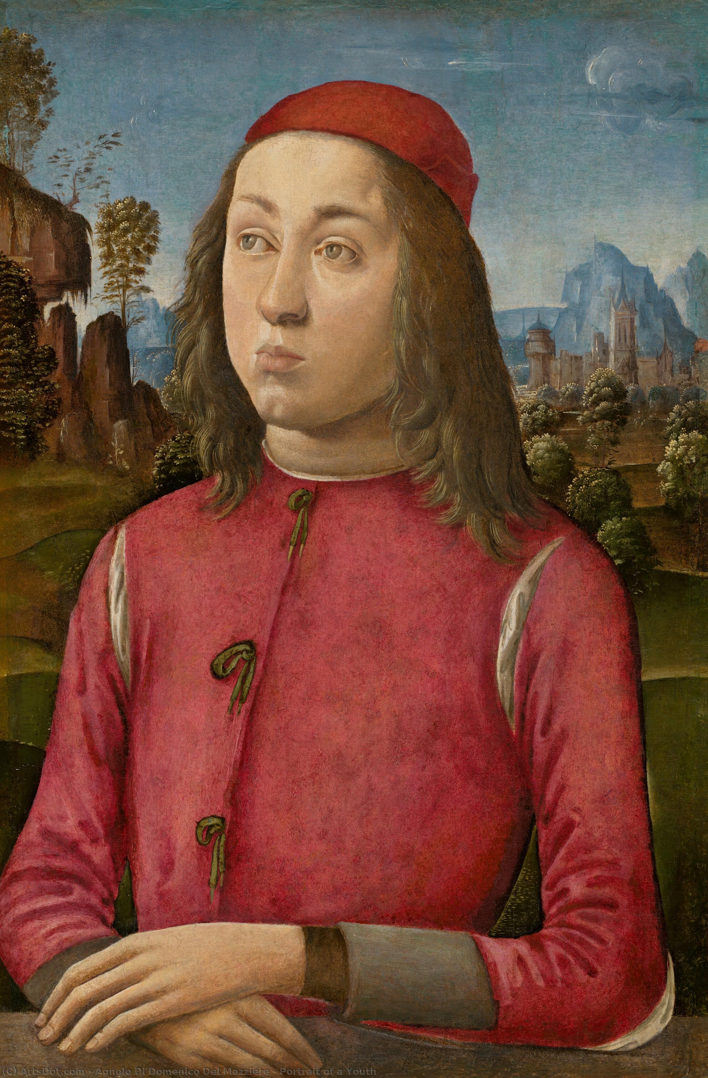 Portrait Of A Youth — Agnolo Di Domenico Del Mazziere