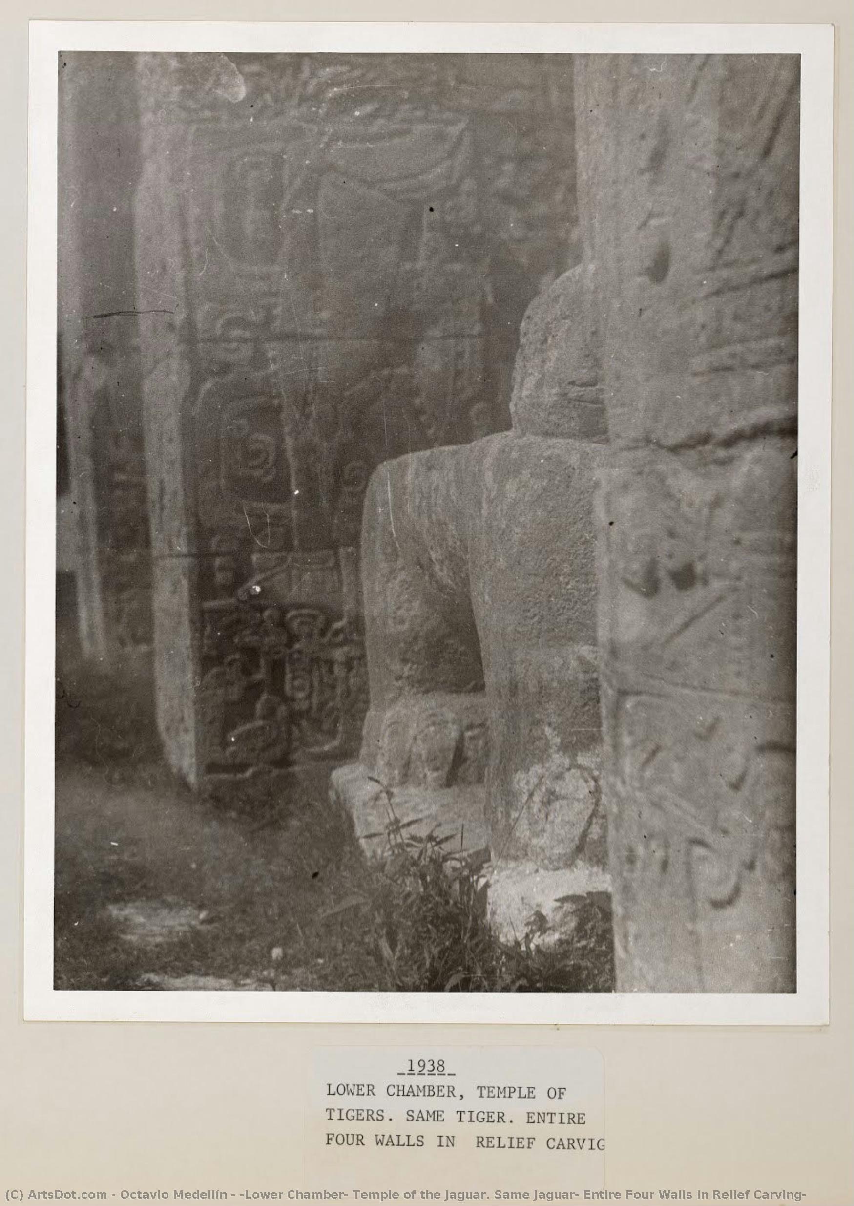 [lower Chamber, Temple Of The Jaguar. Same Jaguar, Entire Four Walls In Relief Carving] — Octavio Medellín