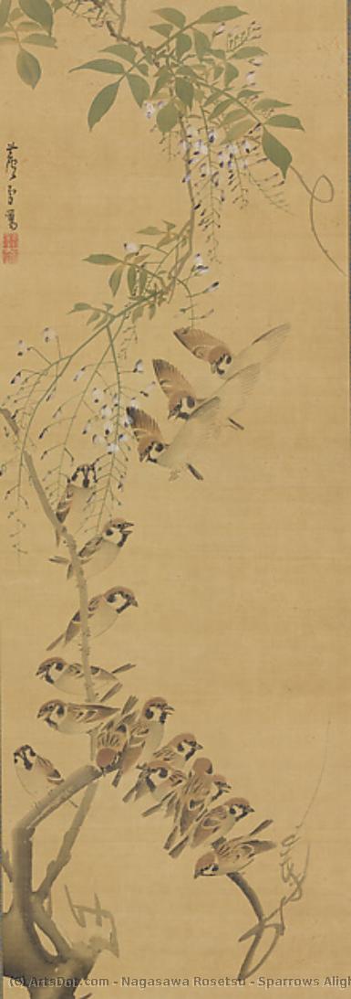 Sparrows Alighting On Wisteria — Nagasawa Rosetsu