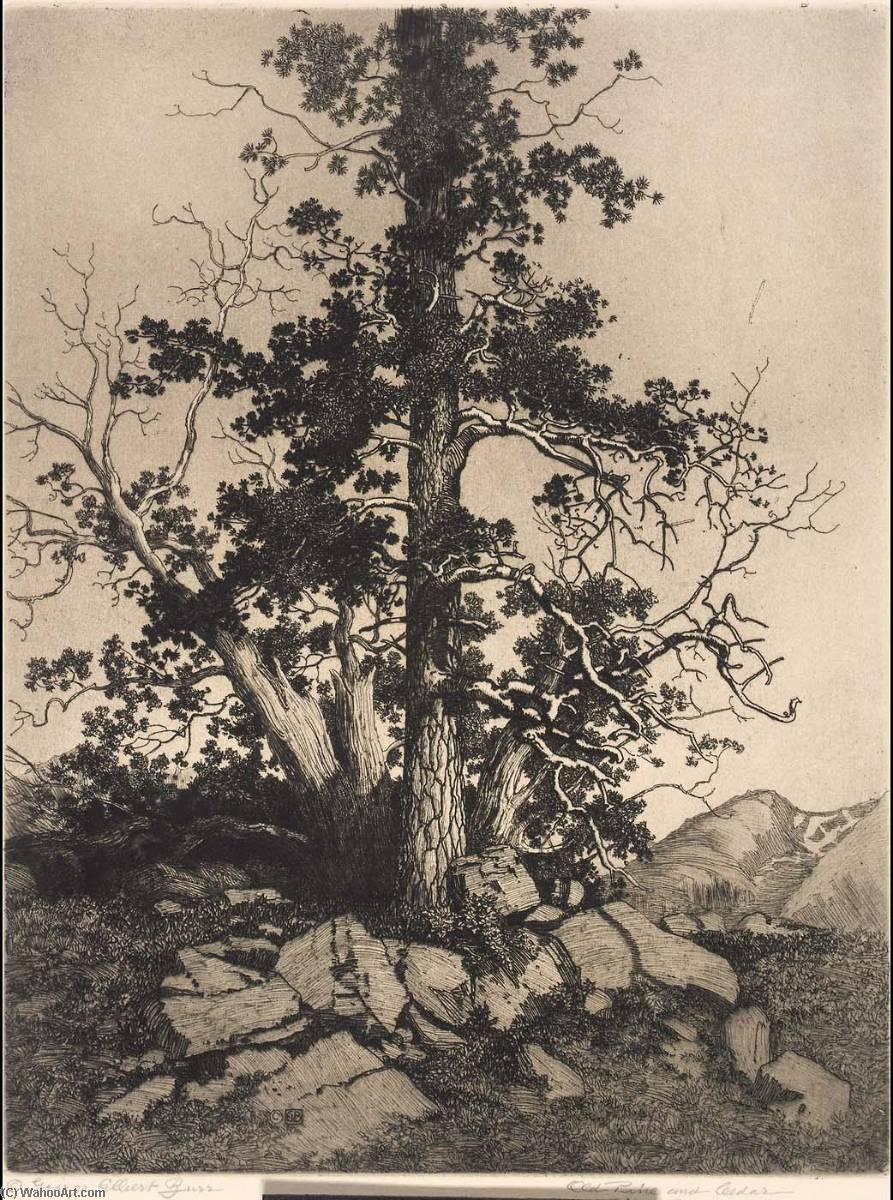 Old Pine And Cedar — Джордж Элберт Берр