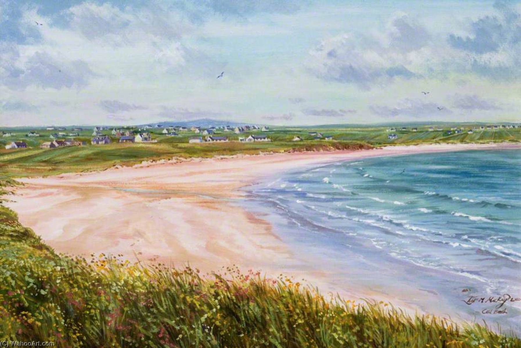Coll Beach — Ivor M Mackay