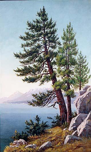 Pines, Lake Tahoe, (painting) — Grafton Tyler Brown