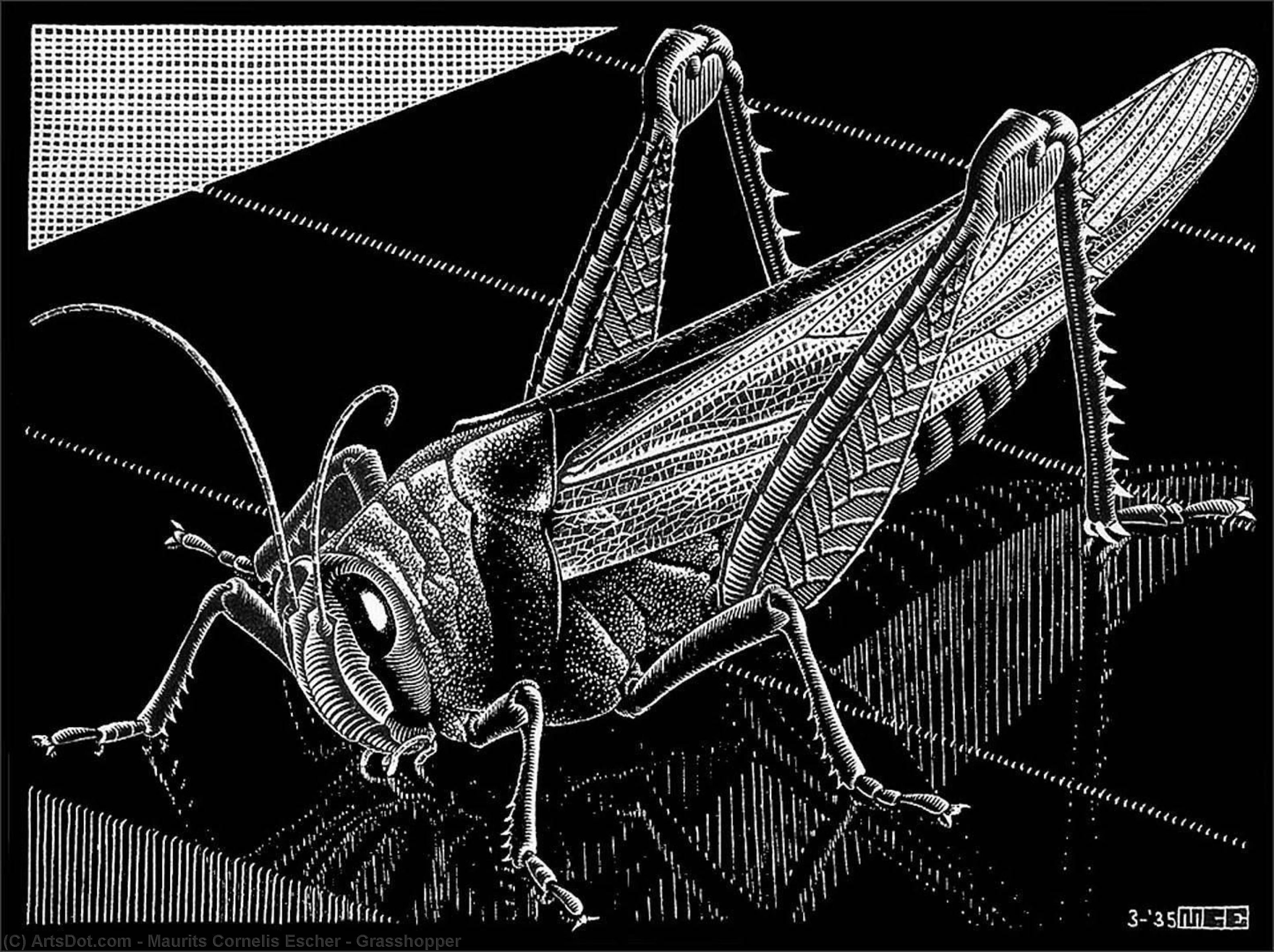 Grasshopper — Maurits Cornelis Escher