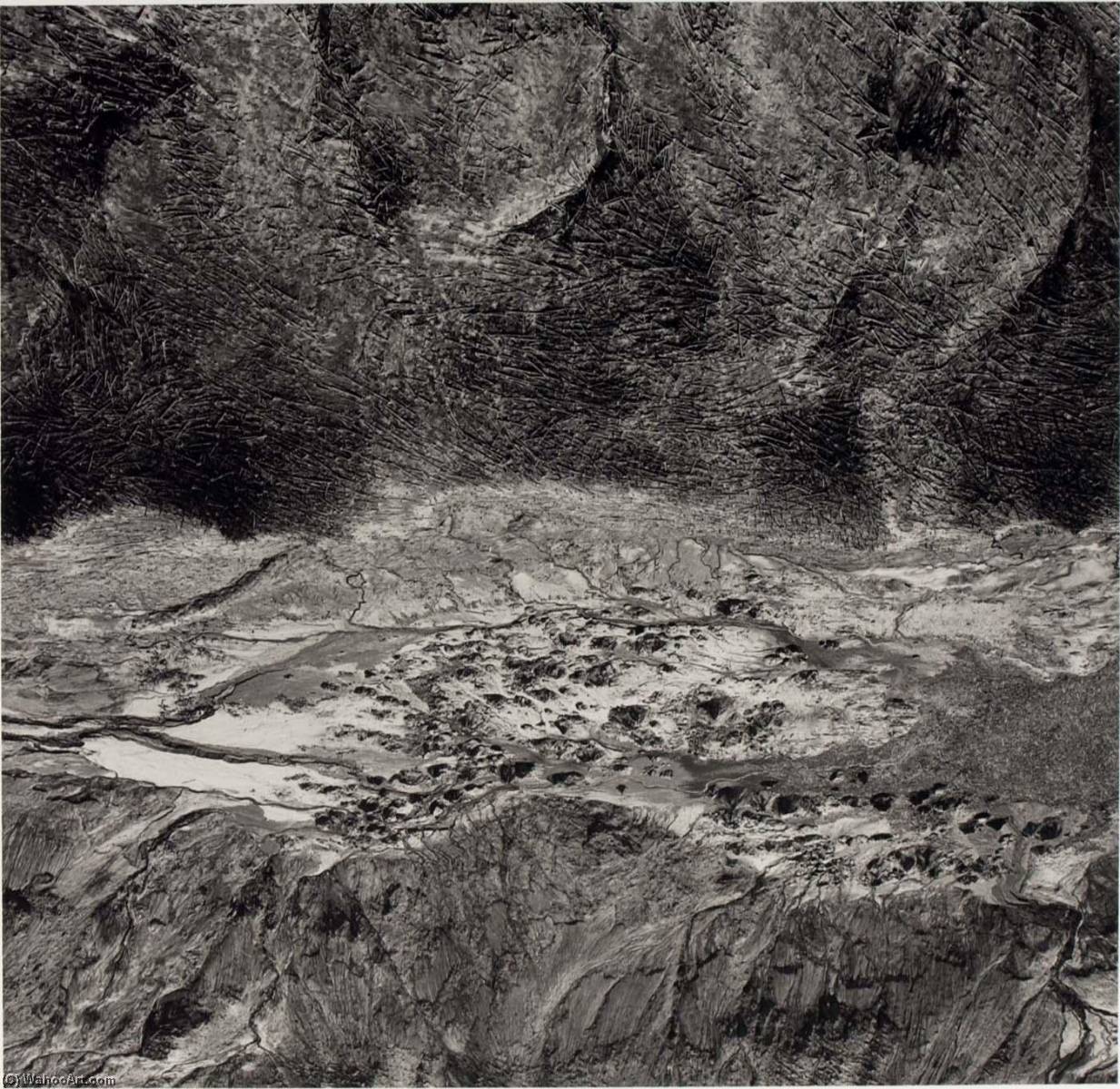 Bear Cove, Spirit Lake, Mount St. Helens, Washington — Emmet Gowin