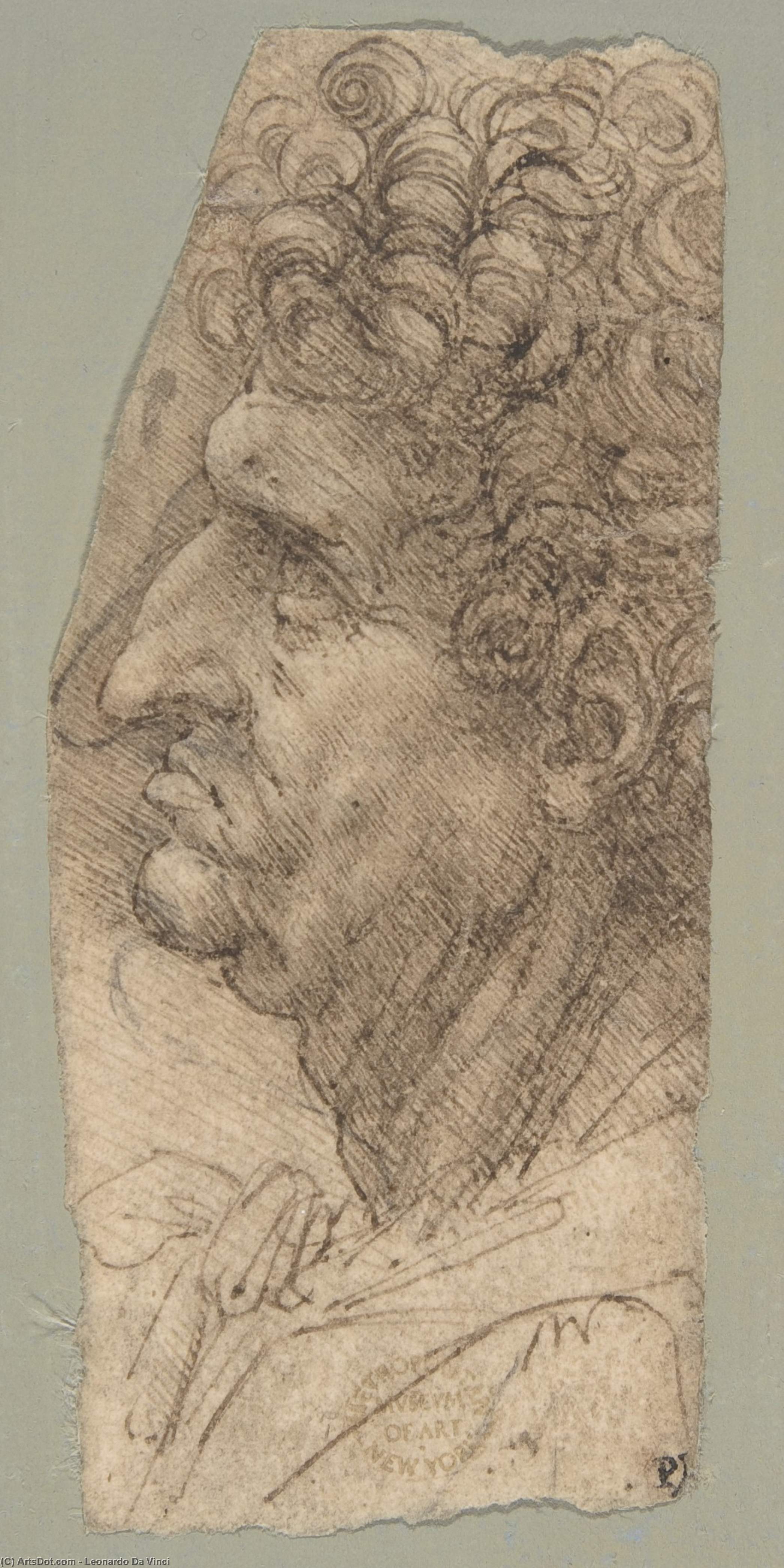 Head Of A Man Facing To The Left — Leonardo Da Vinci