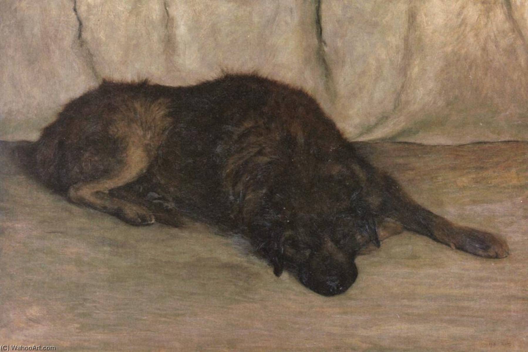 Dog — Hans Emmenegger