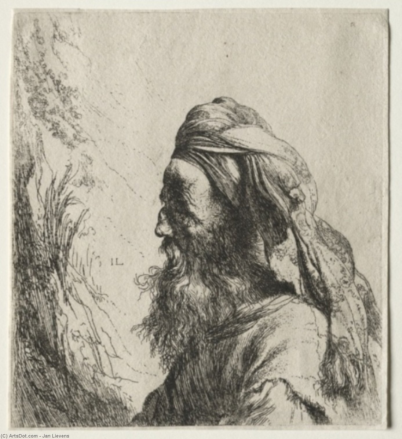 Head Of An Oriental — Jan Andrea Lievens Jan Lievens