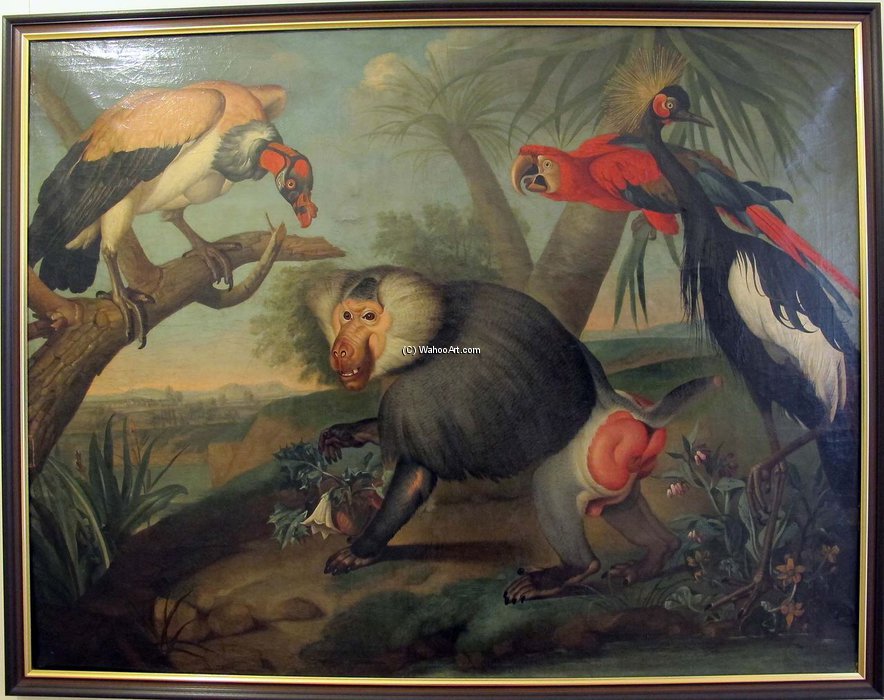 Animali Esotici — Philipp Ferdinand De Hamilton