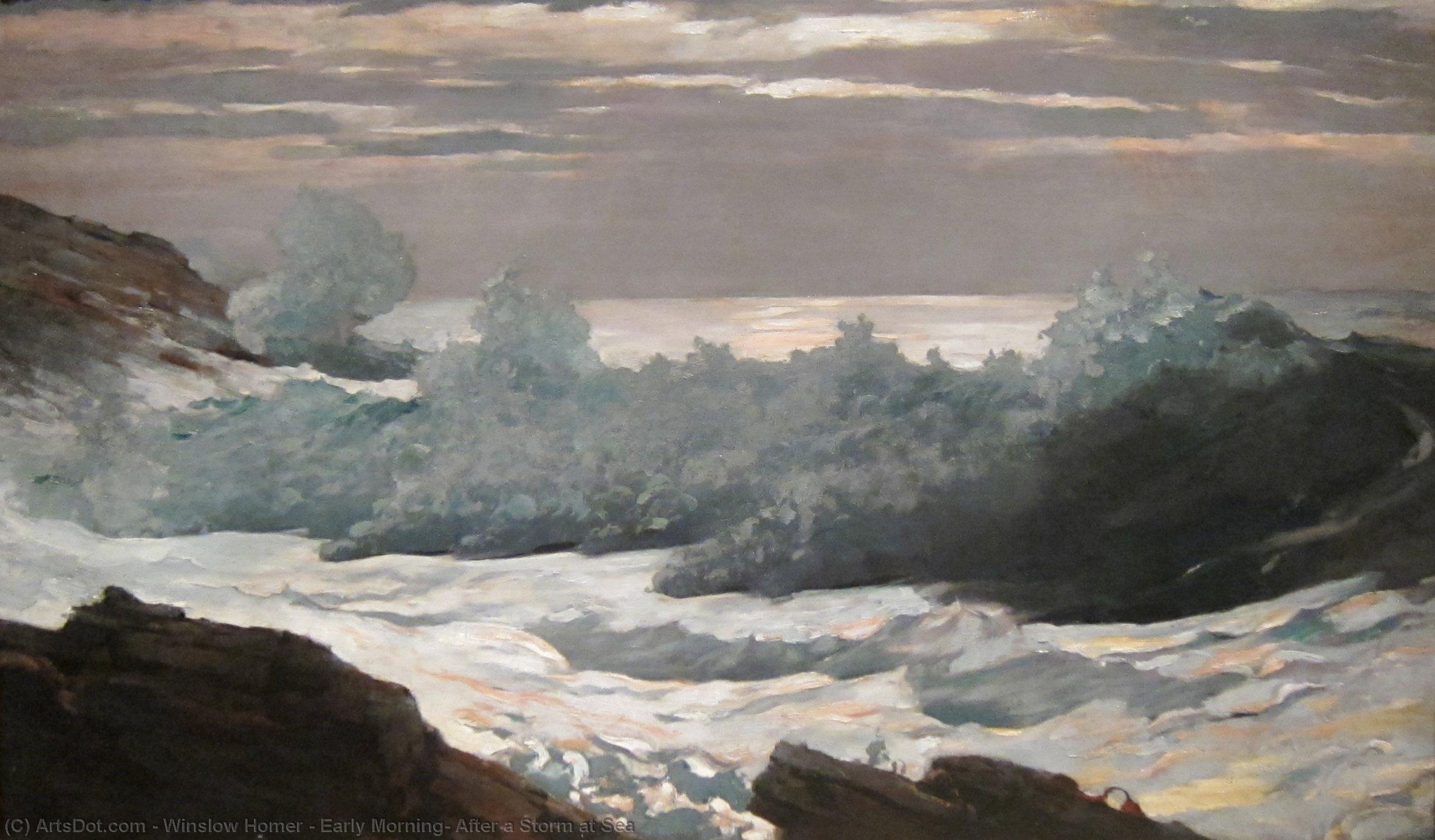 Mañana Temprano Después Una Tormenta Sobre El Mar — Winslow Homer