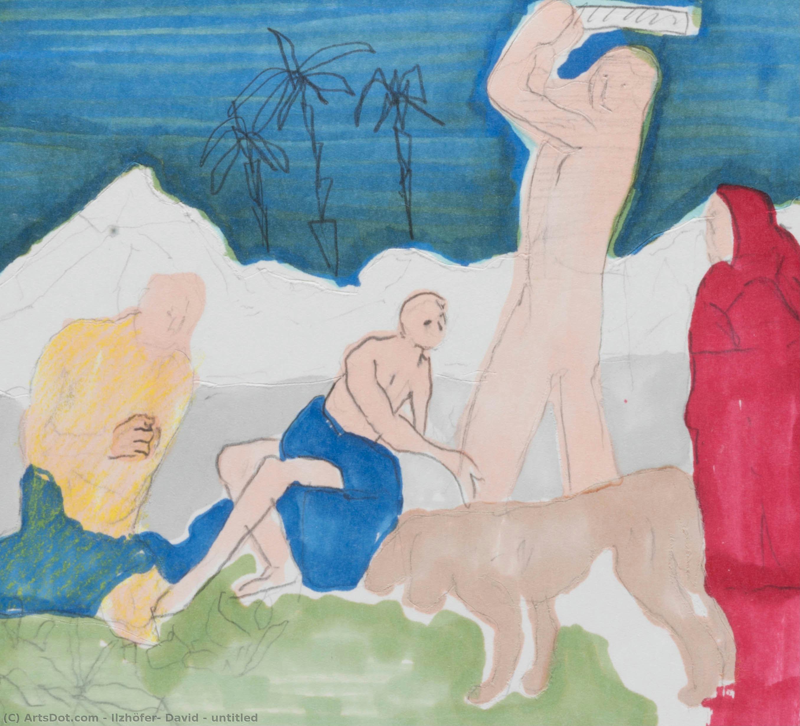 Untitled — Ilzhöfer, David