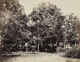 Head Quarters New York Herald, Army Of The Potomac (bealton) — Timothy O'sullivan Alexander Gardner