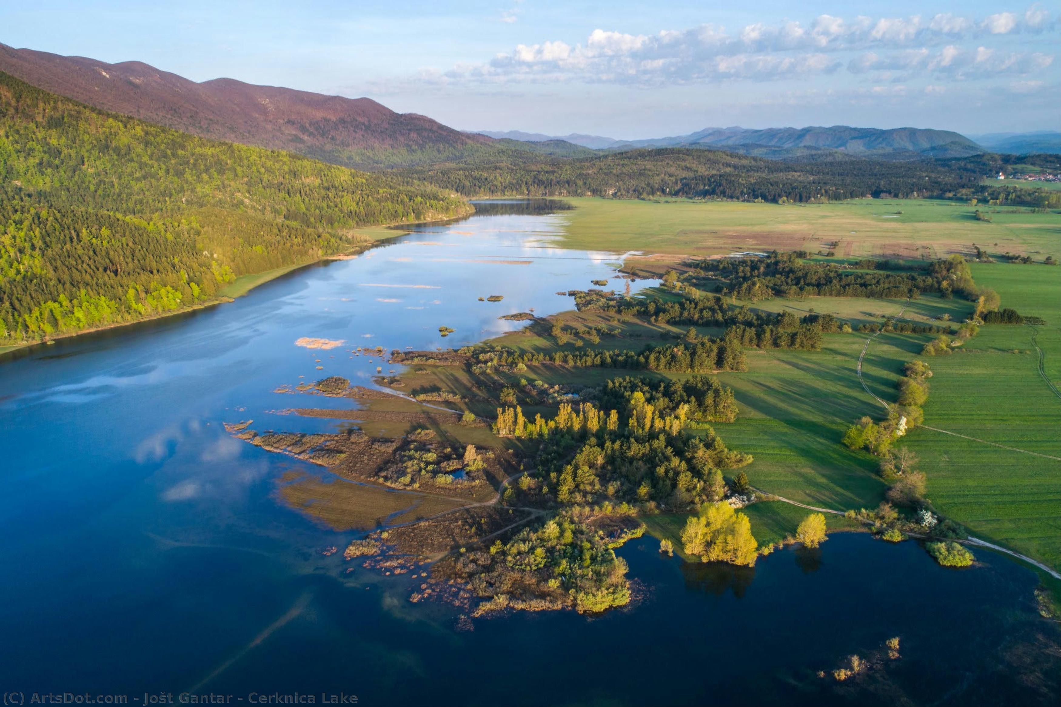 Cerknica Lake — Jošt Gantar