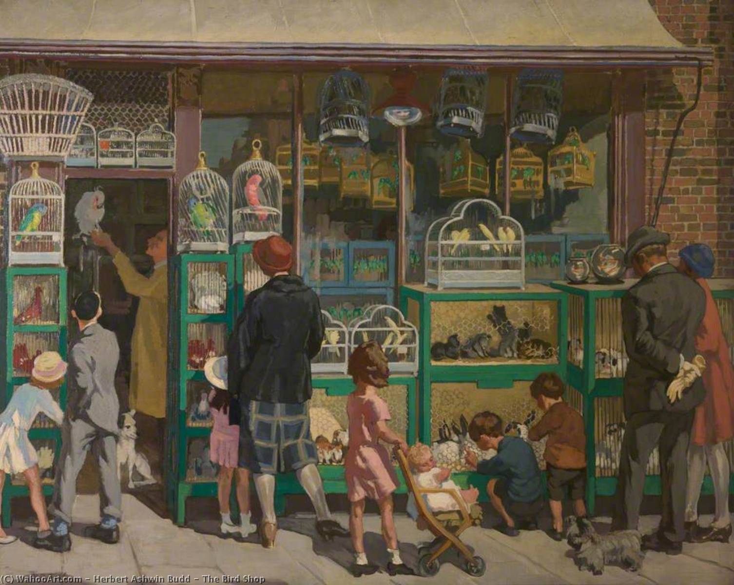 The Bird Shop — Herbert Ashwin Budd