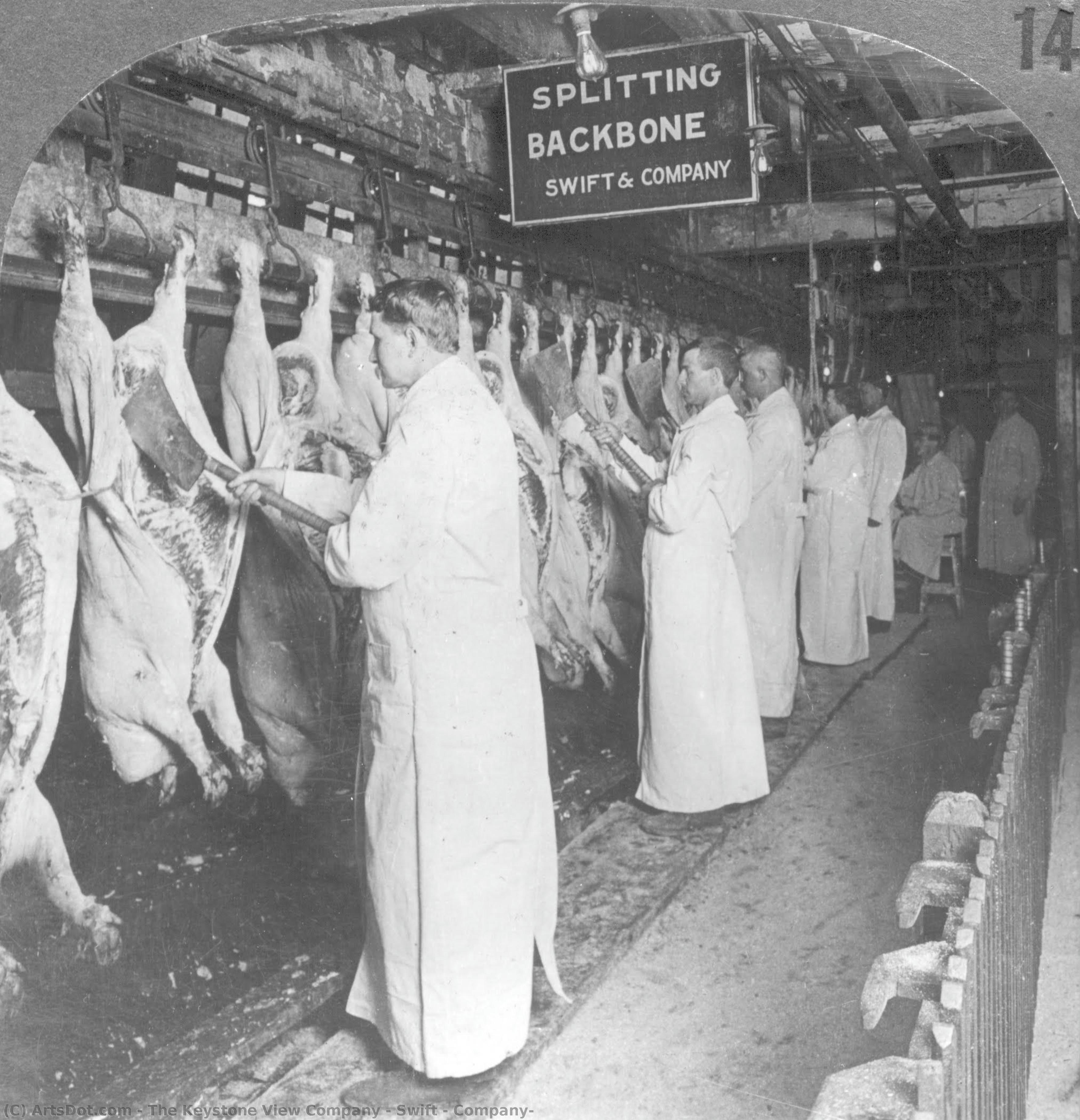 Swift & Company — The Keystone View Company