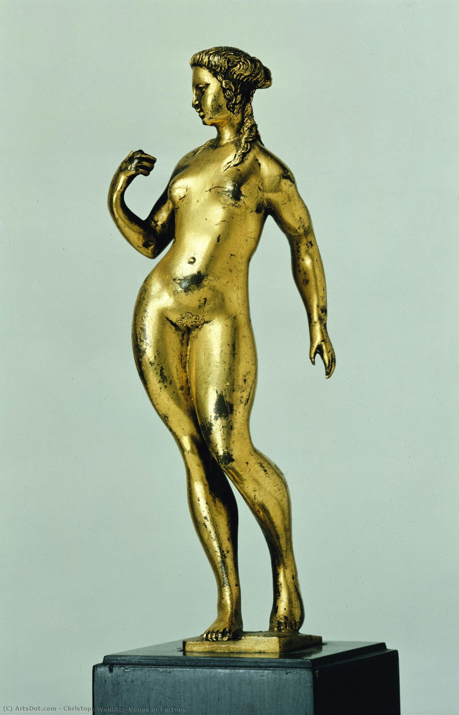 Venus Or Fortune — Christoph Weiditz