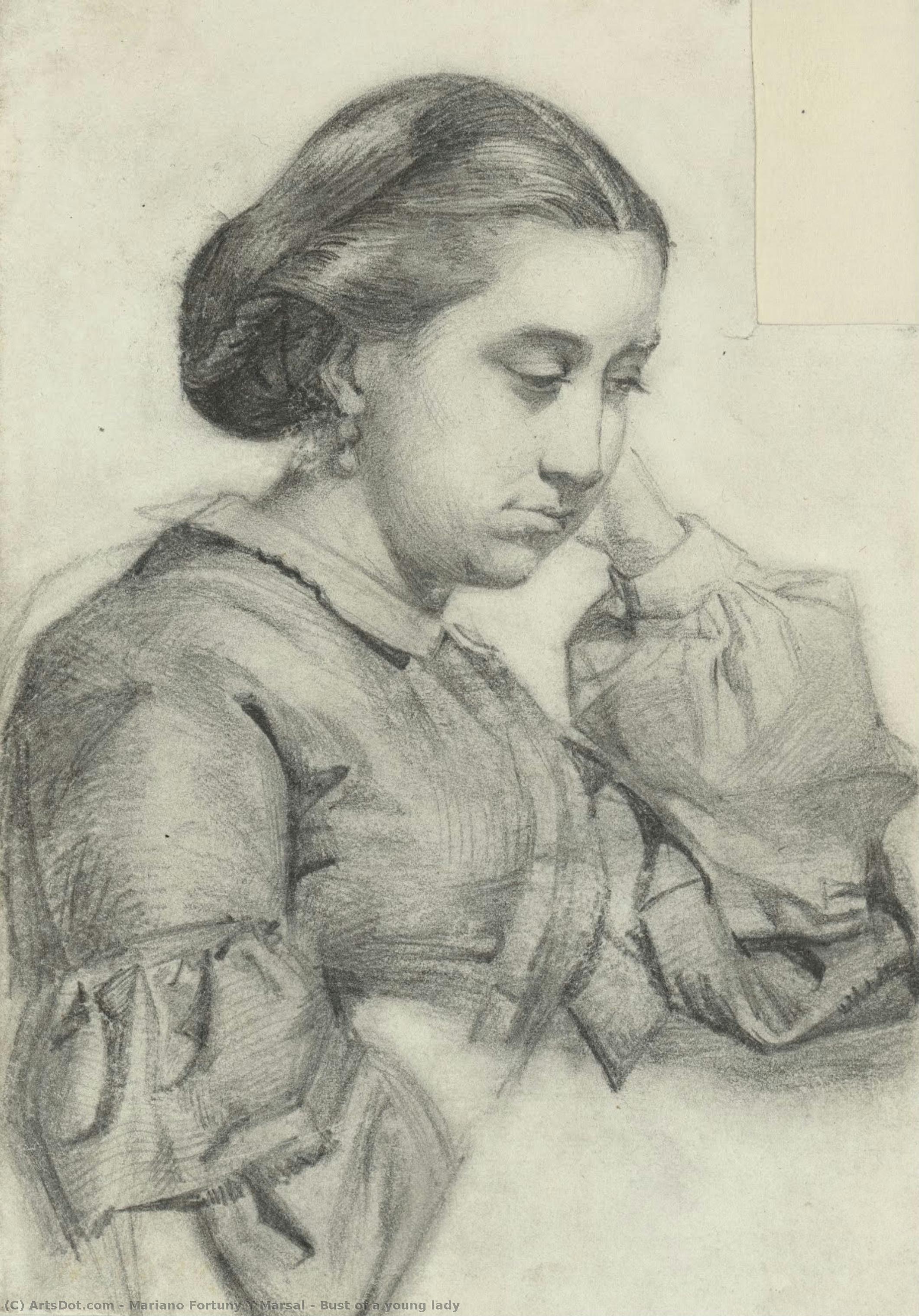 Bust Of A Young Lady — Mariano Fortuny Y Marsal