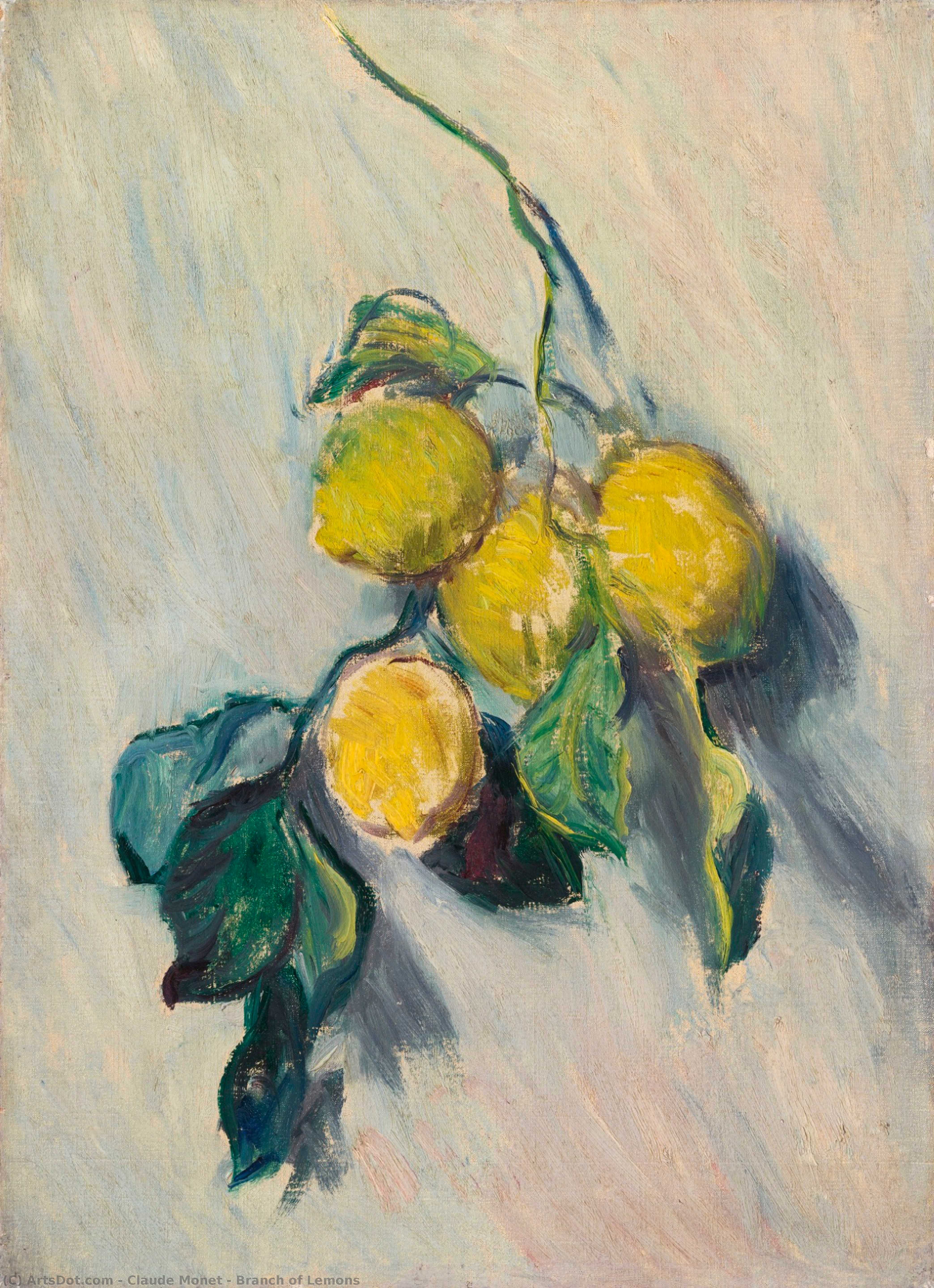 Branch Of Lemons — Клод Моне