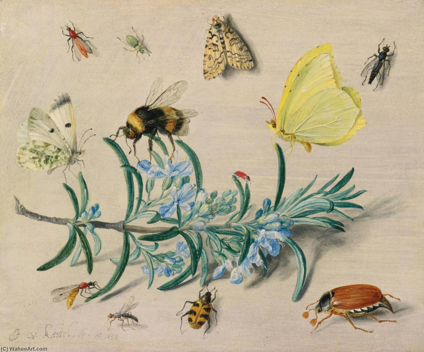 A Still Life Study Of Insects On A Sprig Of Rosemary With Butterflies, A Bumble Bee, Beetles And Other Insects — Jan Van Kessel The Elder