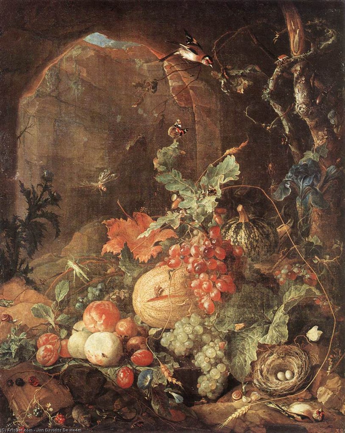 Still-life With Bird-nest — Jan Davidszoon De Heem Or Johannes De Heem Or Johannes Van Antwerpen Or Jan Davidsz De Hem