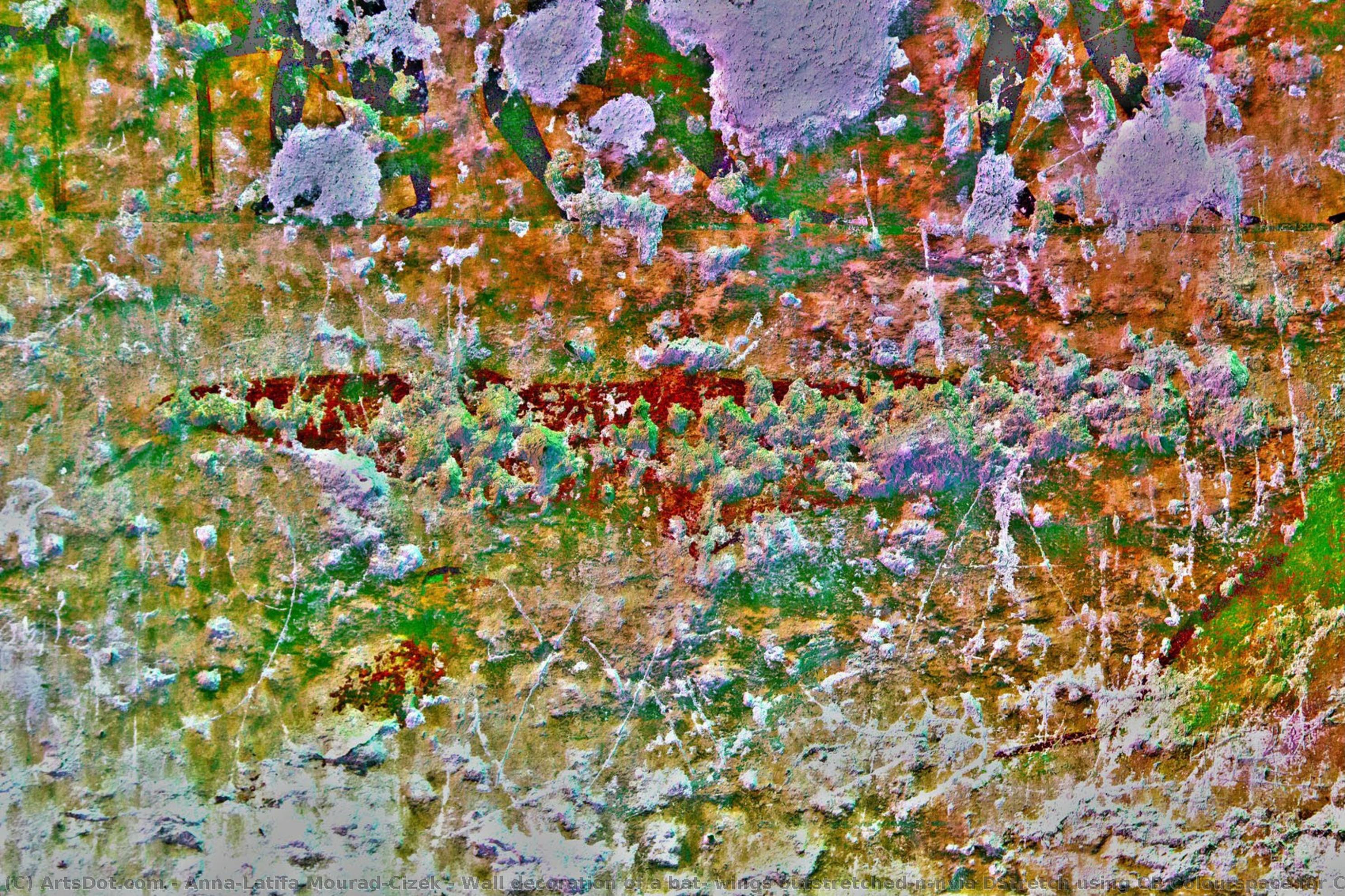 Wall Decoration Of A Bat, Wings Outstretched\n\nvia Dstretch Using Cb Colourspace For Colour Decorrelation Stretching — Anna-latifa Mourad-cizek