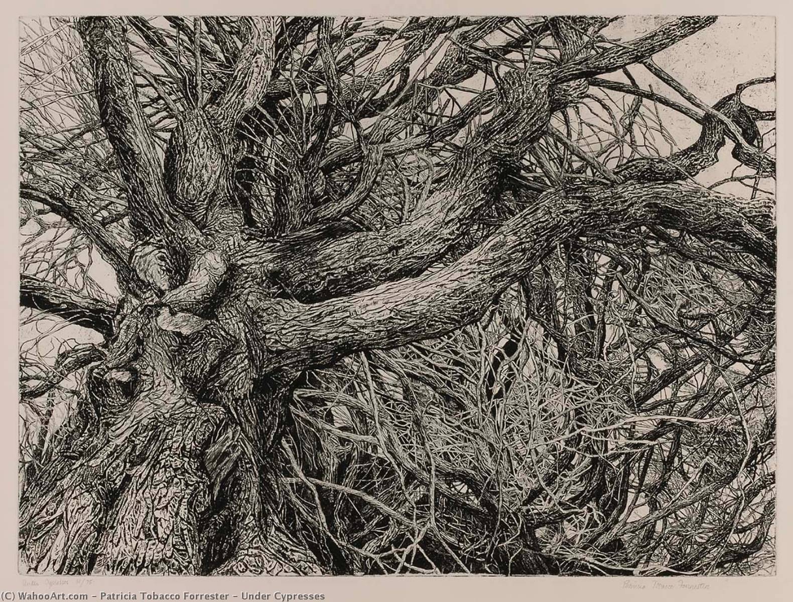 Under Cypresses — Patricia Tobacco Forrester