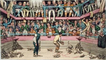 The Celebrated Dog Billy Killing 100 Rats At The Westminster Pit — Theodore Lane