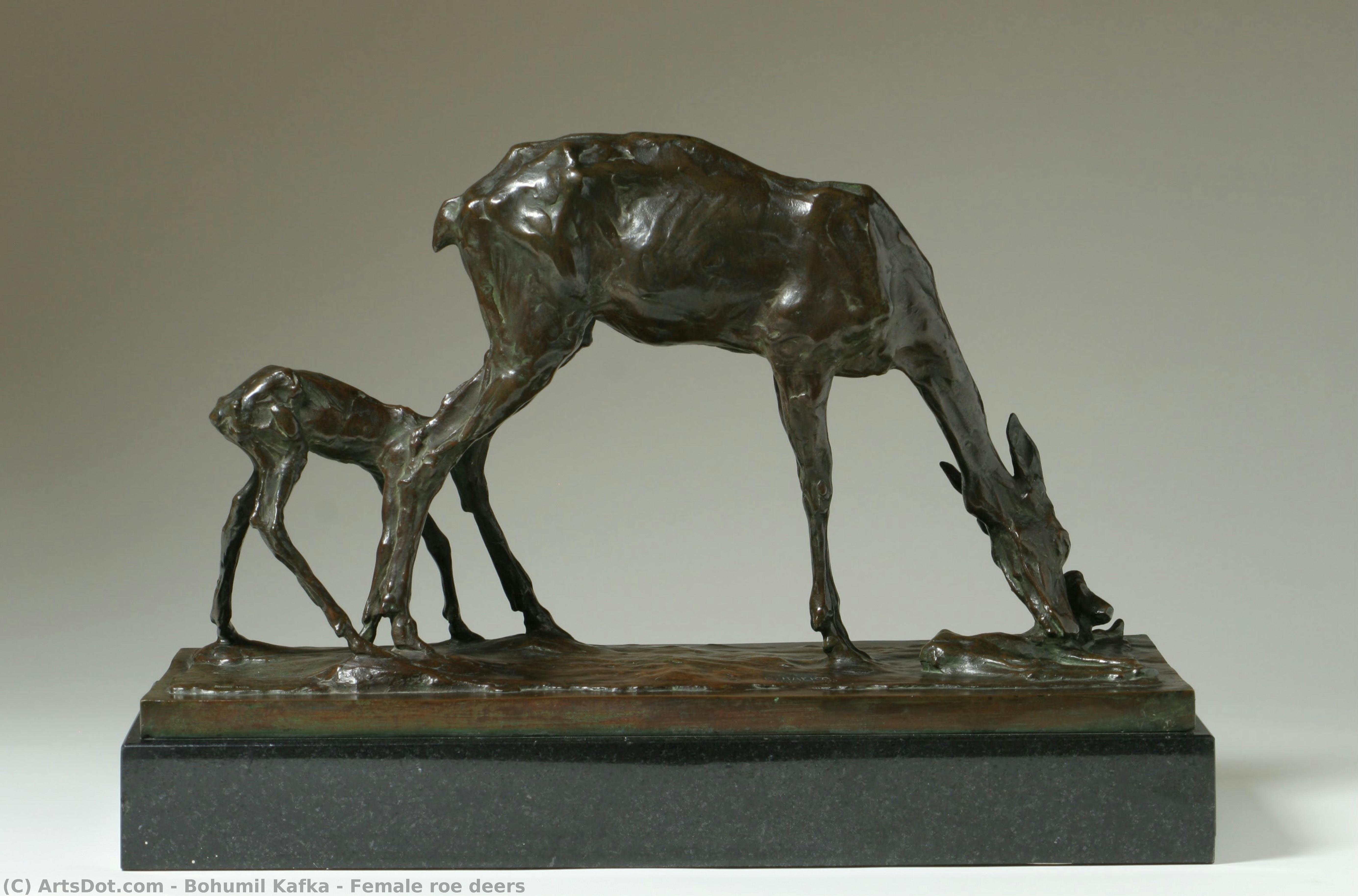 Female Roe Deers — Bohumil Kafka