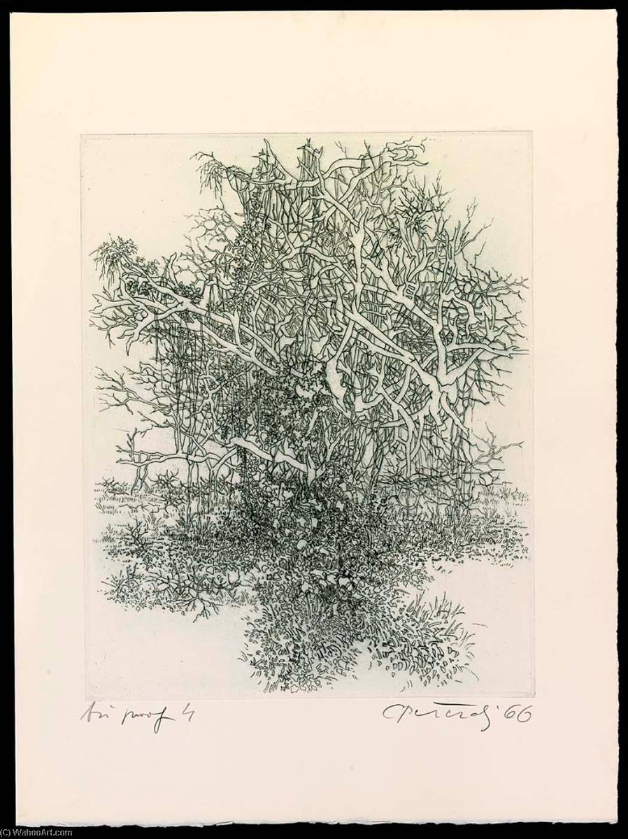 A Universe, State 4, From The Portfolio A Genesis — Gabor Peterdi