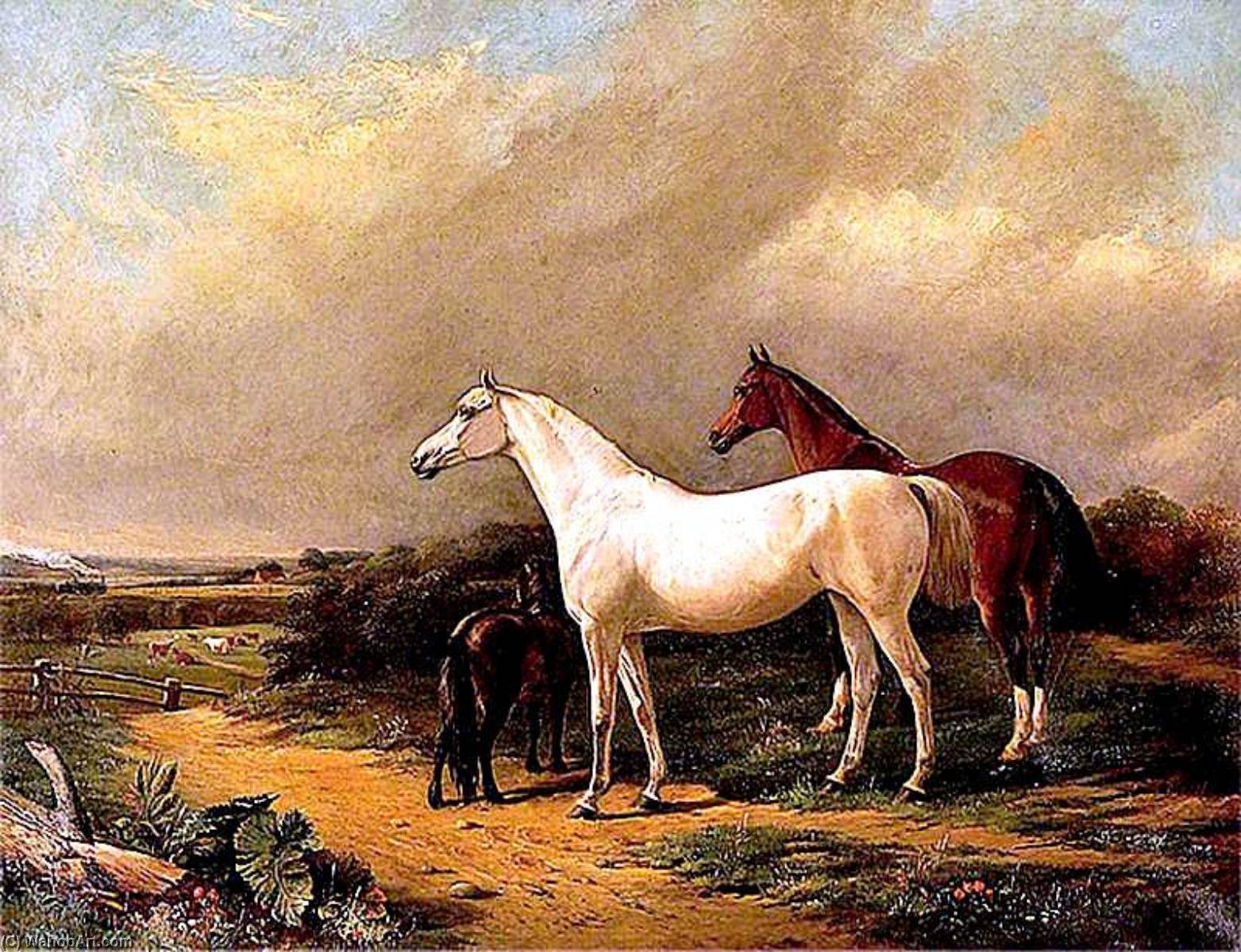 Horses In Stoke Park, Suffolk — John Duval