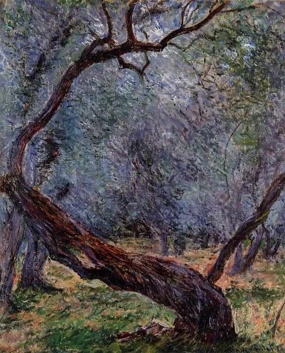 Olive Trees (study) — Клод Моне