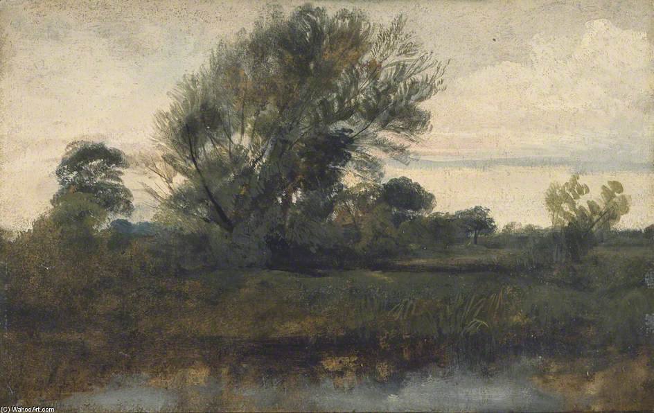 Landscape With Willow Tree — Пьер Де Винт