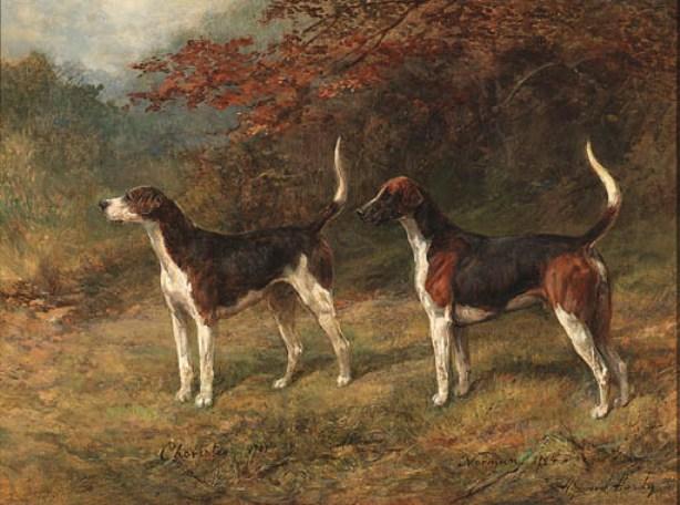 Chorister And Norman, One Couple Of Fox Hounds Beside A Covert — Heywood Hardy