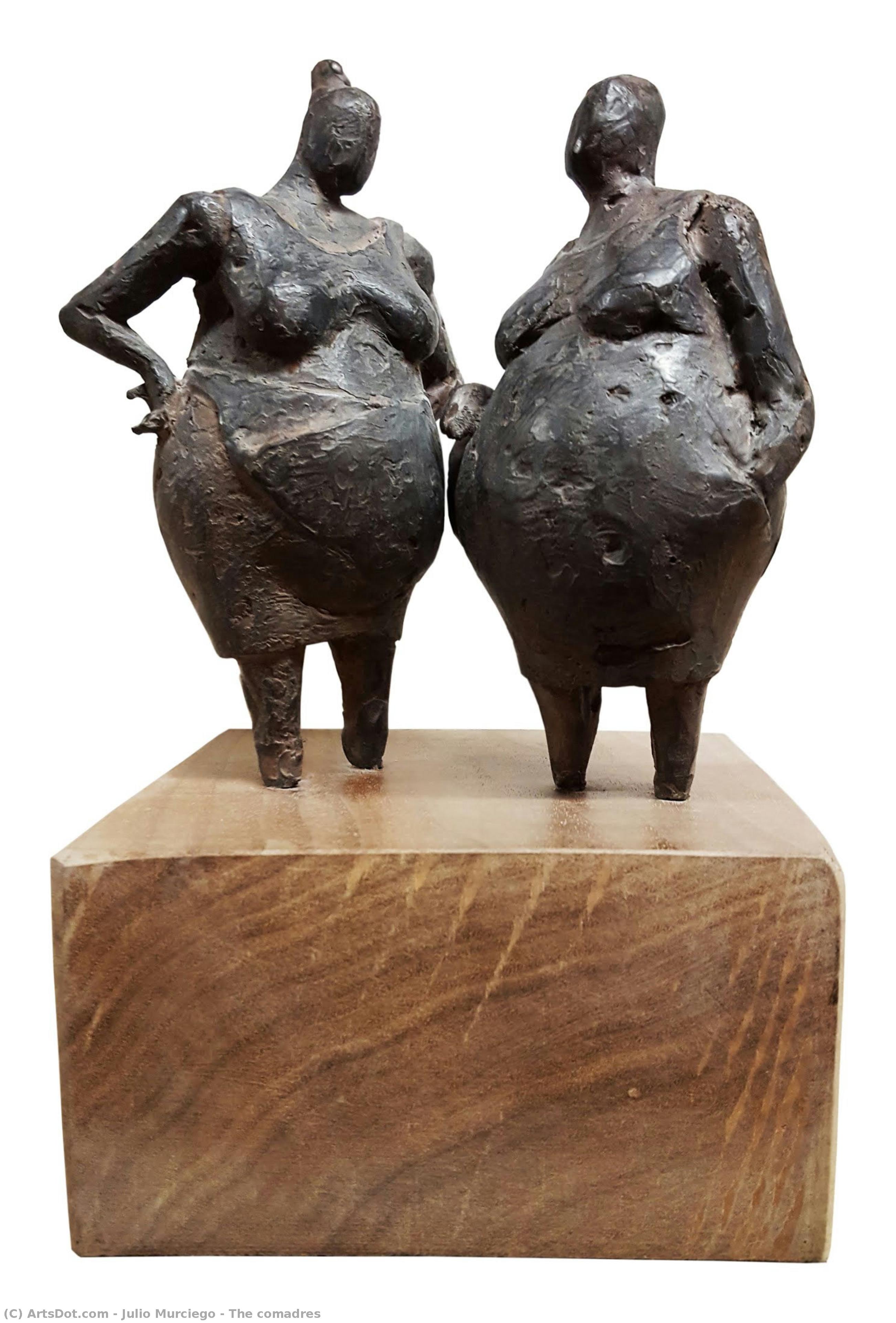 The Comadres — Julio Murciego
