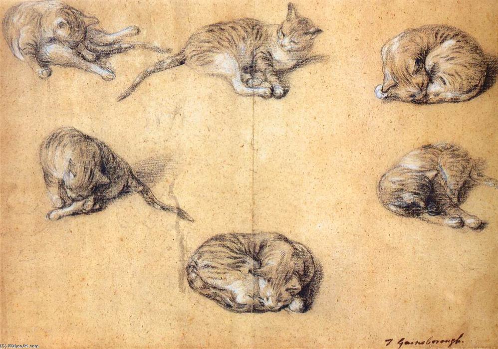 Six Studies Of A Cat — Thomas Gainsborough