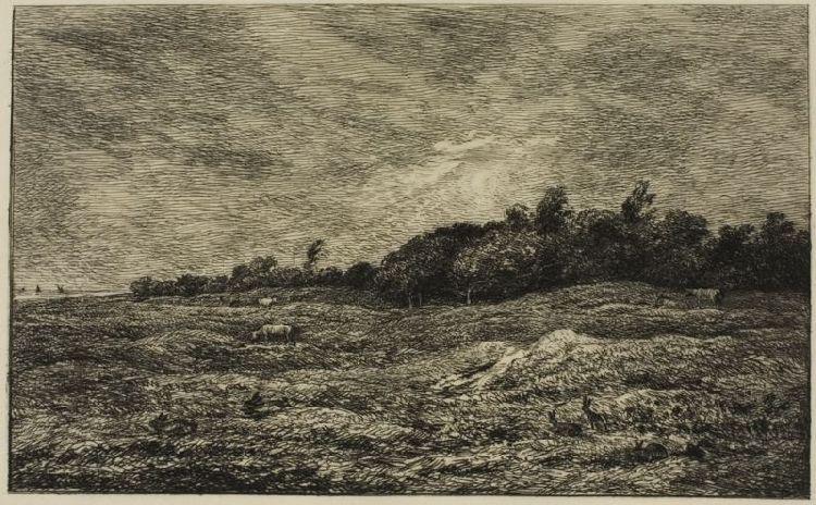 The Meadow Graves Villerville (calvados) — Charles-françois Daubigny
