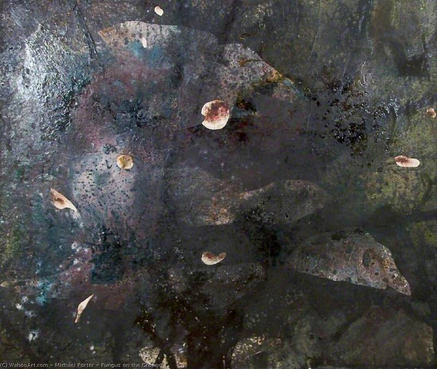 Fungus On The Ground — Michael Porter