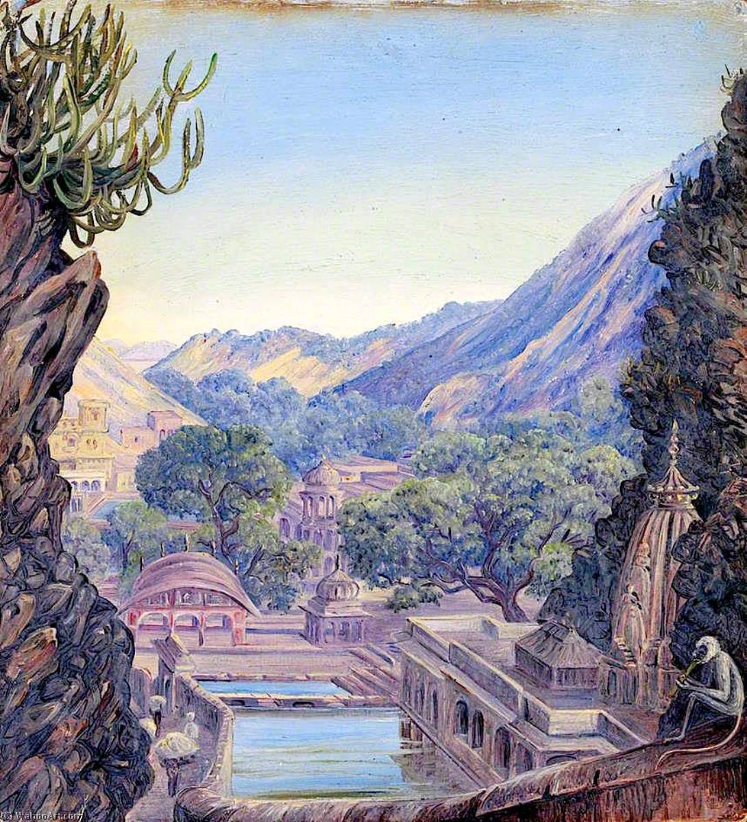 The Galpa, Jeypore — Marianne North