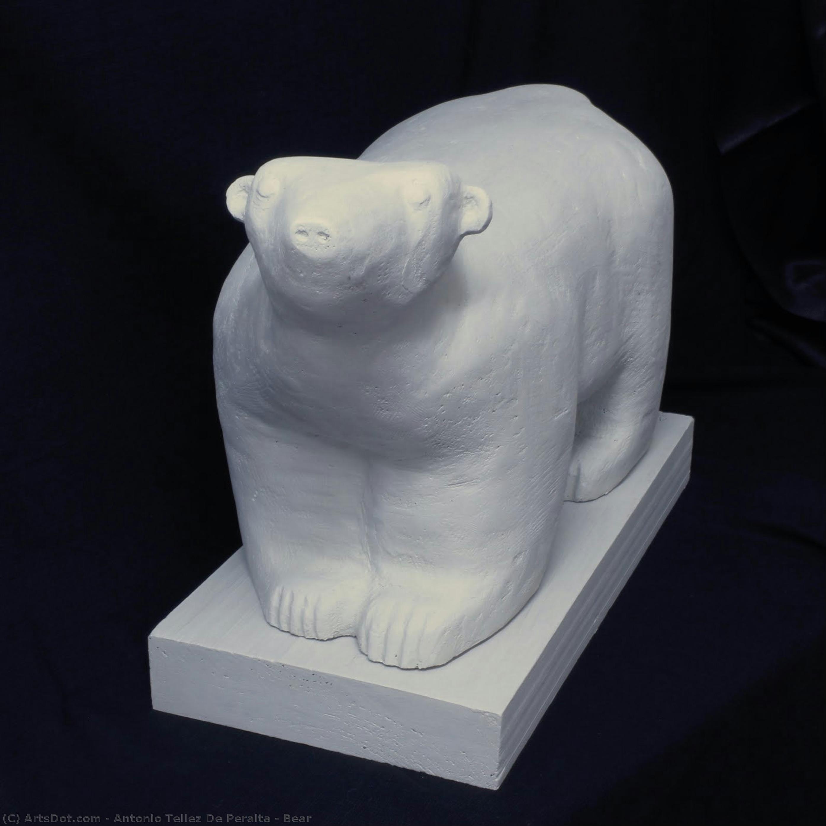 Bear — Antonio Tellez De Peralta