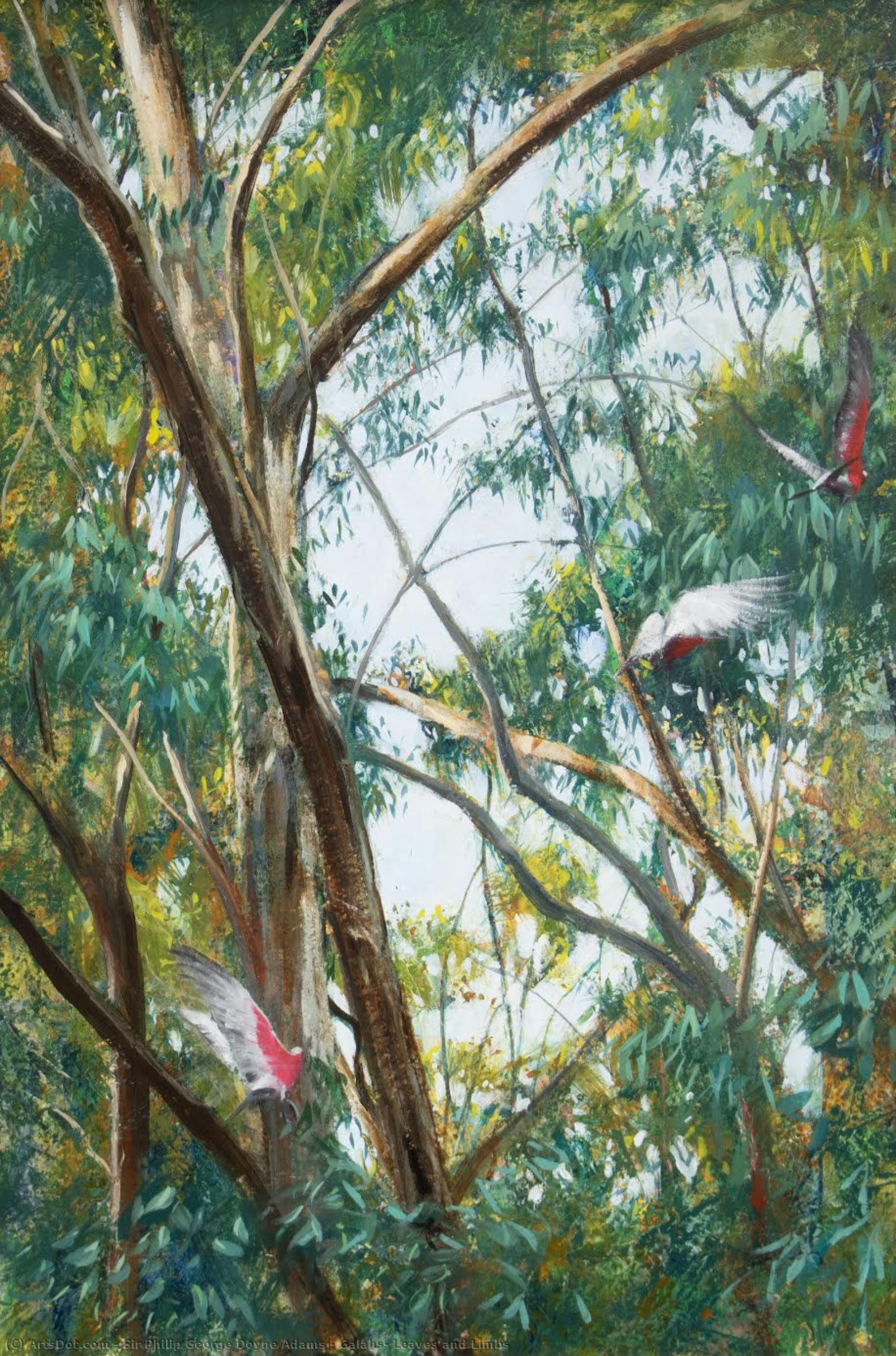 Galahs, Leaves And Limbs — Sir Philip George Doyne Adams
