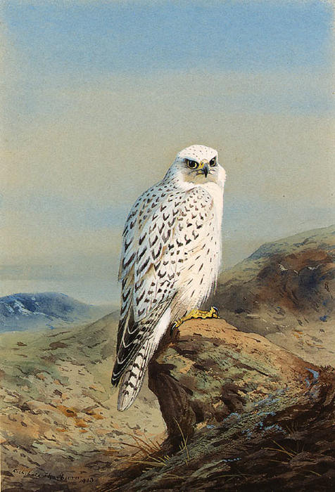 A Greenland Gyr Falcon In A Mountainous Landscape — Archibald Thorburn