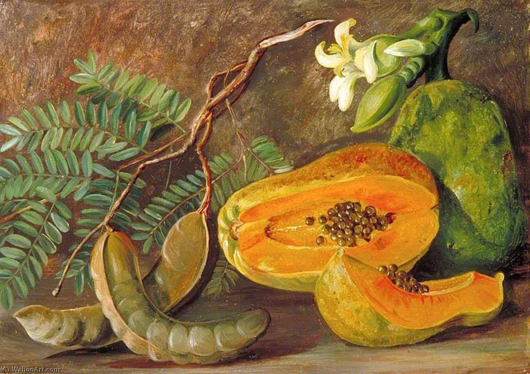 Foliage And Fruit Of The Tamarind, And Flowers And Fruit Of The Papaw In Java — Marianne North